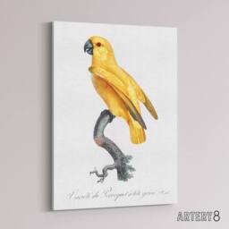 "Artery8 Lutino Senegal Parrot Francois Levaillant Canvas Wall Art Print in White - Size: W12"" x H16""" - thumbnail 2
