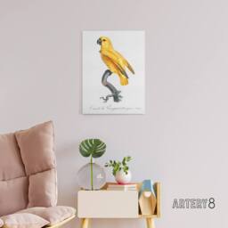 "Artery8 Lutino Senegal Parrot Francois Levaillant Canvas Wall Art Print in White - Size: W12"" x H16""" - thumbnail 3