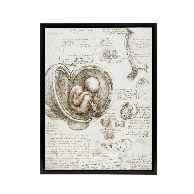 "Artery8 Studies of the Foetus in the Womb da Vinci Black Framed Canvas Art in Beige - Size: W12"" x H16""" - image 1