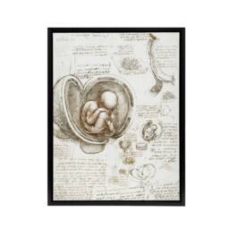 "Artery8 Studies of the Foetus in the Womb da Vinci Black Framed Canvas Art in Beige - Size: W12"" x H16""" - thumbnail 1