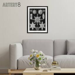 "Artery8 Marine sea ocean Life in B&W Haeckel Black Framed Canvas Wall Art - Size: W12"" x H16""" - thumbnail 3