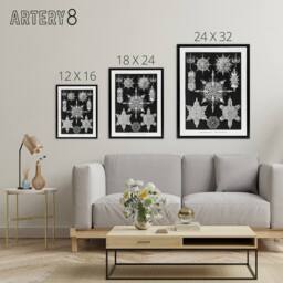"Artery8 Marine sea ocean Life in B&W Haeckel Black Framed Canvas Wall Art - Size: W12"" x H16""" - thumbnail 4