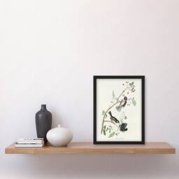 Artery8 Canadian Titmouse Bird Audubon Nature Framed Wall Art Print in White - Size: A4 - thumbnail 4