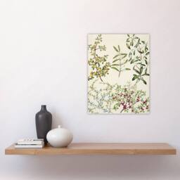 "Artery8 New Zealand Coprosma Acerosa Coastal Plant Featon Wall Art Print in Beige - Size: W18"" x H24""" - thumbnail 4