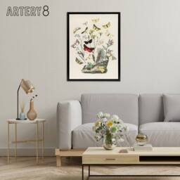 "Artery8 Small Butterflies Caterpillars Kirby Black Framed Canvas Wall Art in White - Size: W12"" x H16""" - thumbnail 3