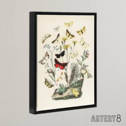 "Artery8 Small Butterflies Caterpillars Kirby Black Framed Canvas Wall Art in White - Size: W12"" x H16""" - thumbnail 2