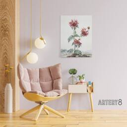 "Artery8 Red Bergamot Flowers in a Landscape Schouman Canvas Wall Art Print in White - Size: W12"" x H16""" - thumbnail 3