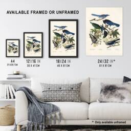 "Artery8 Magpie Clarks Crow & Jays Audubon Nature Wall Art Print Poster in White - Size: W12"" x H16""" - thumbnail 3