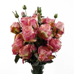 Leaf 6 x 60cm Pink Rose Artificial Flower Sprays - 24 Flowers 18 Buds - Size: 6 x 60 cm - thumbnail 2