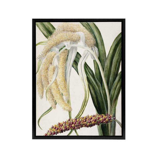 "Artery8 New Zealand Perching Lily Flower Plant Featon Framed Canvas Wall Art in Beige - Size: W12"" x H16""" - image 1