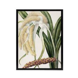 "Artery8 New Zealand Perching Lily Flower Plant Featon Framed Canvas Wall Art in Beige - Size: W12"" x H16""" - thumbnail 1