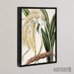 "Artery8 New Zealand Perching Lily Flower Plant Featon Framed Canvas Wall Art in Beige - Size: W12"" x H16""" - thumbnail 2