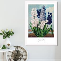 ARTZE Vintage Floral Exhibition - Hyacinth Flowers Framed Print SIZE: A4 with White Frame in Green - thumbnail 2