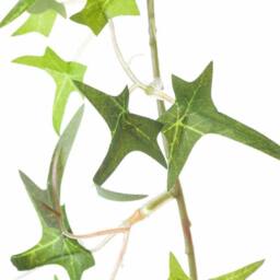 Lemon Pavilion Furniture and Decor Small Ivy Garland Artificial Plant, Plastic, L5 x W5 x H170 cm, Green - thumbnail 3
