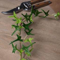 Lemon Pavilion Furniture and Decor Small Ivy Garland Artificial Plant, Plastic, L5 x W5 x H170 cm, Green - thumbnail 5