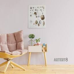 "Artery8 James De Kay Seashell Variety Illustration Canvas Wall Art Print in White - Size: W12"" x H16""" - thumbnail 3