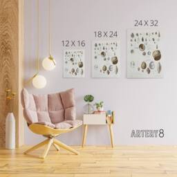 "Artery8 James De Kay Seashell Variety Illustration Canvas Wall Art Print in White - Size: W12"" x H16""" - thumbnail 4
