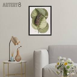 "Artery8 Mangrove Grape Tree Vintage Botanical Catesby Framed Canvas Wall Art in Green - Size: W12"" x H16""" - thumbnail 3