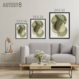 "Artery8 Mangrove Grape Tree Vintage Botanical Catesby Framed Canvas Wall Art in Green - Size: W12"" x H16""" - thumbnail 4