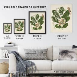 "Artery8 New Zealand Kohekohe Tree Flowers Featon Wall Art Poster Print in Beige - Size: W12"" x H16""" - thumbnail 3