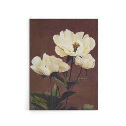 "Artery8 White Herbaceous Peony Flowers Canvas Wall Art Print Kazumasa in Red - Size: W18"" x H24""" - thumbnail 1