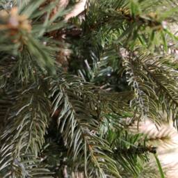 Samuel Alexander 4ft (1.2m) Green Grandis Fir Real Look Christmas Tree with Metal Stand - thumbnail 4