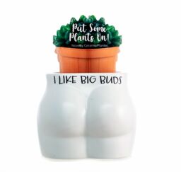 Boxer Gifts I Like Big Buds' Put Some Plants On in White - thumbnail 2
