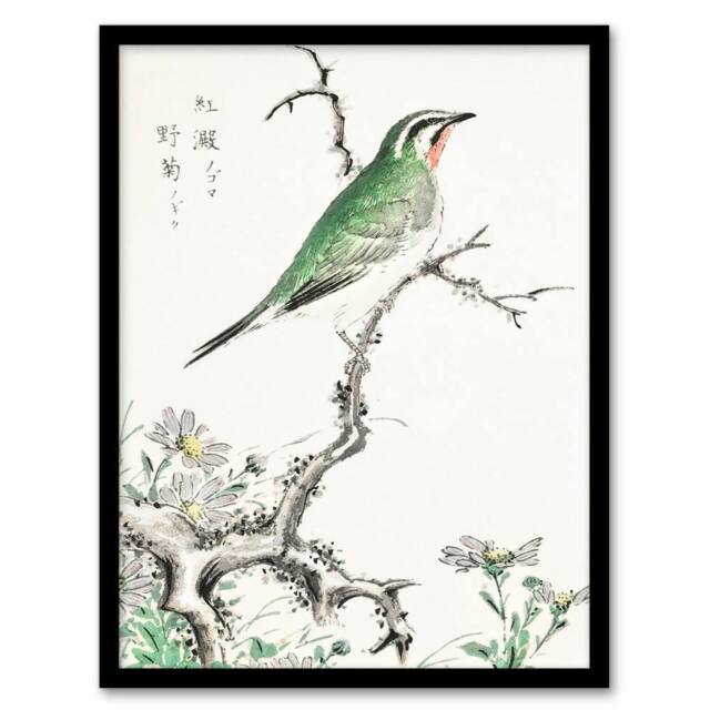 Artery8 Ruby Throat Bird & Wild Camomile Vintage Framed Wall Art Print Kashu - Size: A4 - image 1
