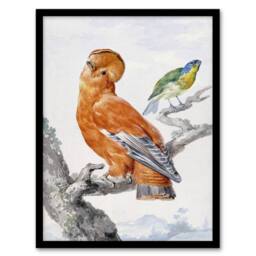 Artery8 Two Exotic Birds Watercolour Painting Schouman Framed Wall Art Print in White - Size: A4 - thumbnail 1