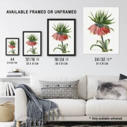 "Artery8 Crown Imperial Flower Redoute Vintage Wall Art Print Poster in White - Size: W12"" x H16""" - thumbnail 3