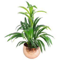 Leaf Large Metal Planter 22 x 17cm Hammered Gold Colour - Curvy Edge - Size: 22 x 17 cm - thumbnail 2