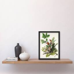 Artery8 John James Audubon Framed Wall Art Print American Robin Birds Nest in White - Size: A4 - thumbnail 2