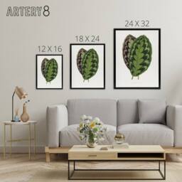 "Artery8 AF Lydon Benjamin Fawcett Calathea Veitchiana Leaf Framed Canvas Art in White - Size: W12"" x H16""" - thumbnail 4