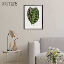 "Artery8 AF Lydon Benjamin Fawcett Calathea Veitchiana Leaf Framed Canvas Art in White - Size: W12"" x H16""" - thumbnail 3