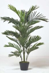 Homescapes Multi Stem Green Palm Tree in Pot, 180 cm