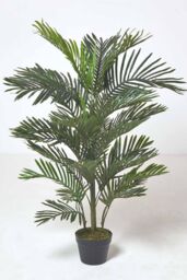 Homescapes Multi Stem Green Palm Tree in Pot, 180 cm - thumbnail 3