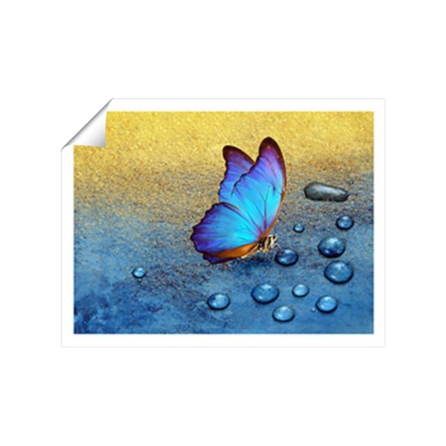 "Warren Reed - Designer Butterfly On Dew Drops Unframed Art Print - Size: W20"" x H30""" - image 1