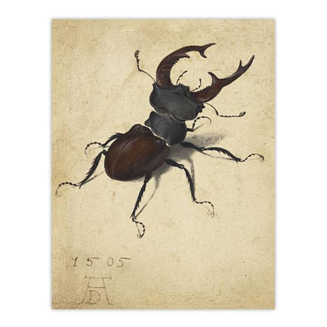 "Artery8 Stag Beetle Nature Study Albrecht Durer Wall Art Poster Print in Beige - Size: W12"" x H16""" - image 1