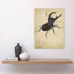 "Artery8 Stag Beetle Nature Study Albrecht Durer Wall Art Poster Print in Beige - Size: W12"" x H16""" - thumbnail 4