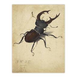 "Artery8 Stag Beetle Nature Study Albrecht Durer Wall Art Poster Print in Beige - Size: W12"" x H16""" - thumbnail 1