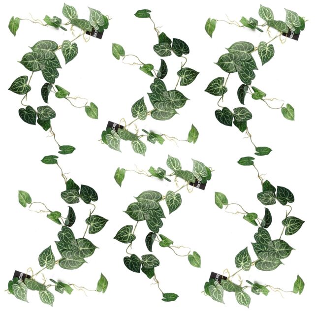 Leaf 6 x 100cm Artificial Hanging Trailing Rounded Ivy Plant in Green - Size: 6 x 100 cm - image 1