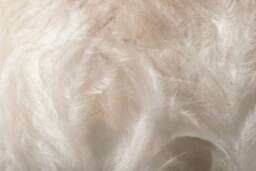 The Linen Consultancy TLC 5 Star Hotel Concept Goose Feather & Down AS 4.5 + 9 Tog Duvet in White - Size: Super King - thumbnail 2