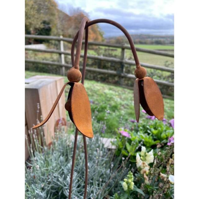 Poppyforge Open Snowdrop Garden Art (Pack of 3) - Steel - W6 x H100 cm in Brown - image 1