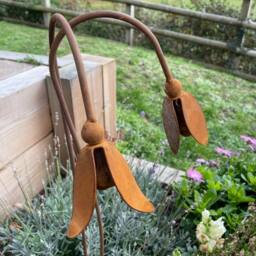 Poppyforge Open Snowdrop Garden Art (Pack of 3) - Steel - W6 x H100 cm in Brown - thumbnail 5