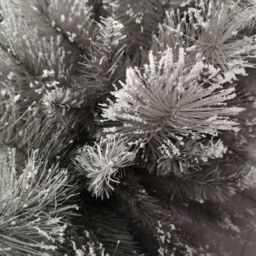 Samuel Alexander 6ft (180cm) Premier Snow Fir Grey PVC Christmas Tree with 587 Cashmere Tips - thumbnail 2