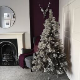 Samuel Alexander 6ft (180cm) Premier Snow Fir Grey PVC Christmas Tree with 587 Cashmere Tips - thumbnail 1