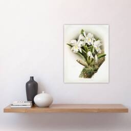 "Artery8 Frederick Sander Cattleya Rochellensis Orchid Flowers Wall Art Print - Size: W12"" x H16""" - thumbnail 4
