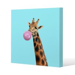 Benjamin Tate Design bubble gum on color background (Canvas Print) / 101 x 101 x 4cm in Natural - Size: 101 x 101 x 4 cm - thumbnail 1