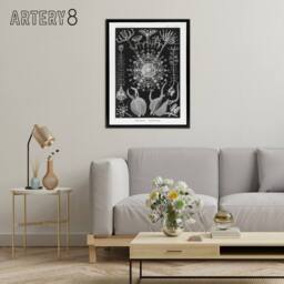 "Artery8 Phaeodaria Marine Life Haeckel Botanical Black Framed Canvas Wall Art - Size: W12"" x H16""" - thumbnail 3