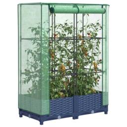 Berkfield Home Raised Bed with Greenhouse Cover Rattan Look 80x40x123 cm in Dark Grey - Size: 80 x 40 x 123 cm - thumbnail 2